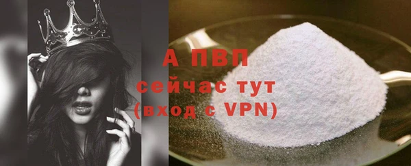 прущие грибы Переславль-Залесский