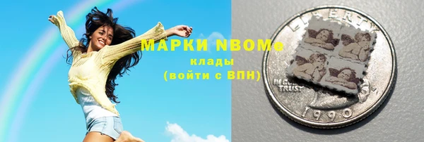 прущие грибы Переславль-Залесский