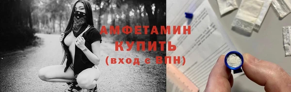 прущие грибы Переславль-Залесский