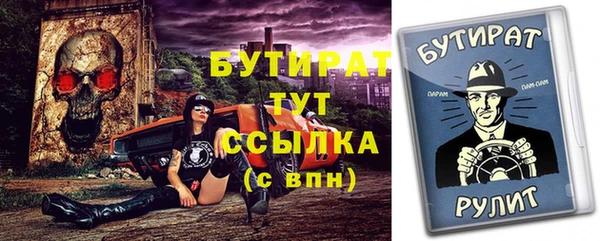 прущие грибы Переславль-Залесский