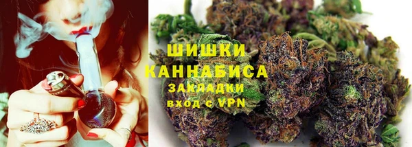 прущие грибы Переславль-Залесский