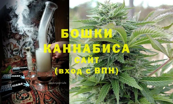 прущие грибы Переславль-Залесский
