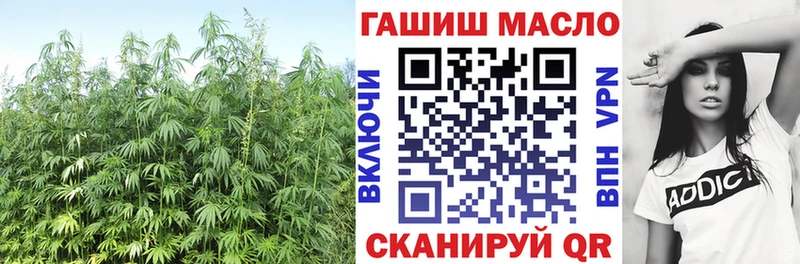 Купить закладки  Свободный  ТГК концентрат 