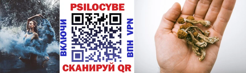 Купить  Свободный  Галлюциногенные грибы прущие грибы 